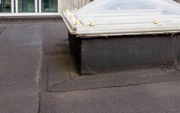 disadvantages of Wainscott flat roofs